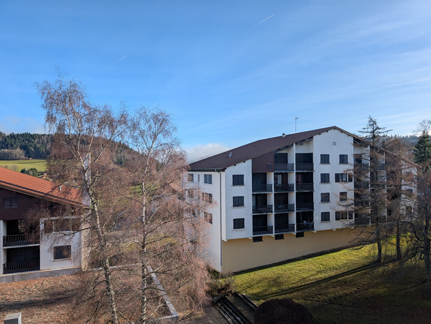 appartement 1 pièce